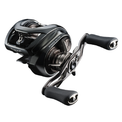 MULINETA DAIWA 24 STEEZ SV TW 100XHL 12RUL/80MX028M/8.5:1