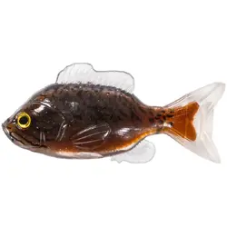 LIVE TARGET NALUCA SUNFISH UNRIGGED 9,7CM BLACK/BROWN 3BUC/PL